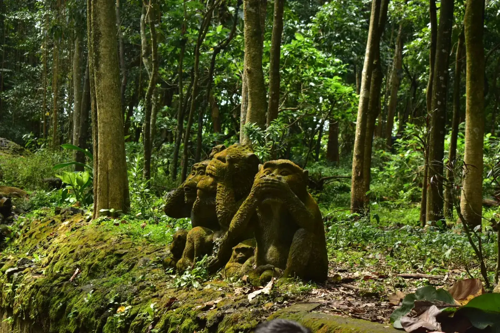 Imagen de bitácora