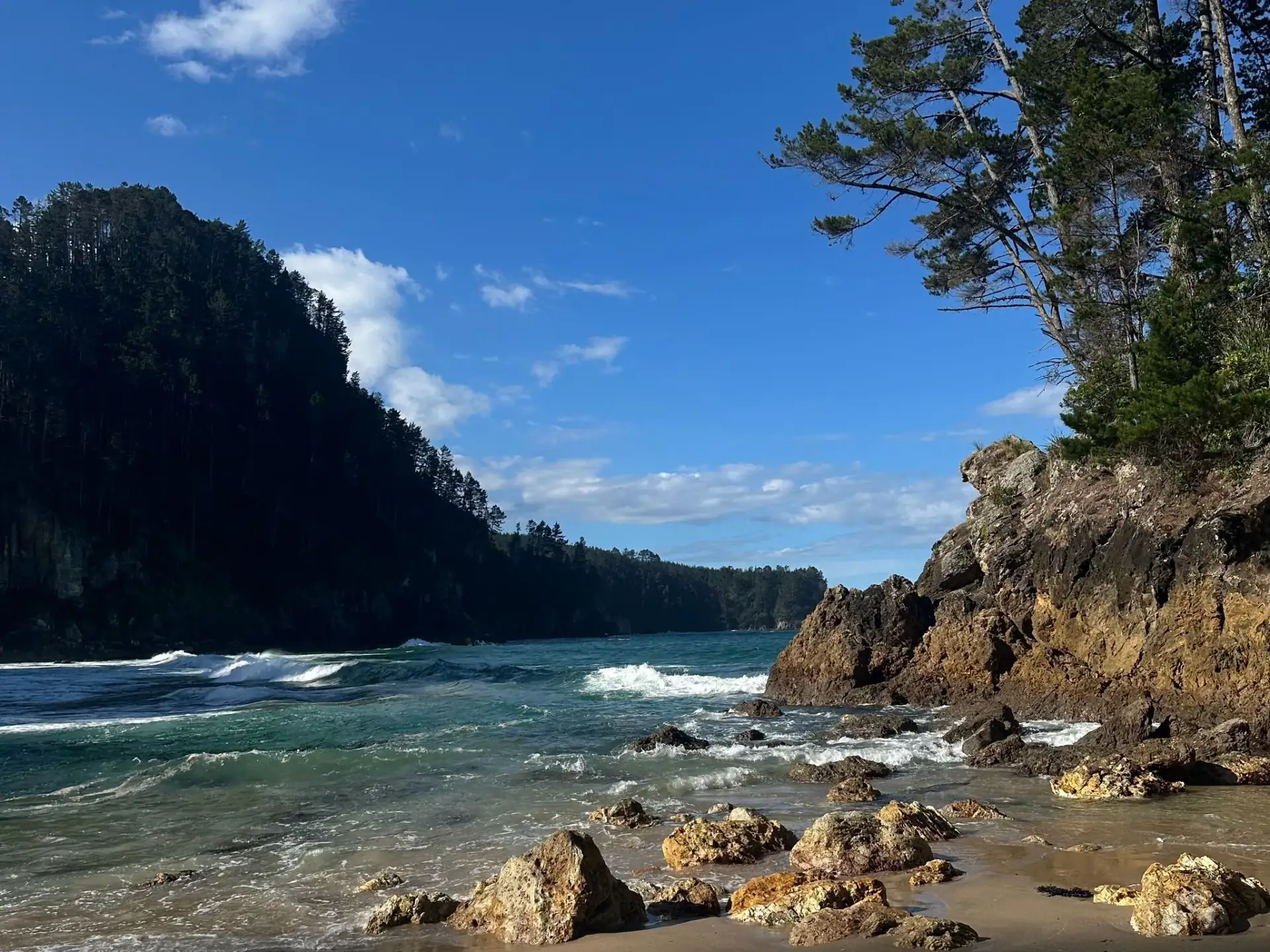 Portada de La historia de Coromandel una bella península en la Isla Norte: de la extracción a la conservación 